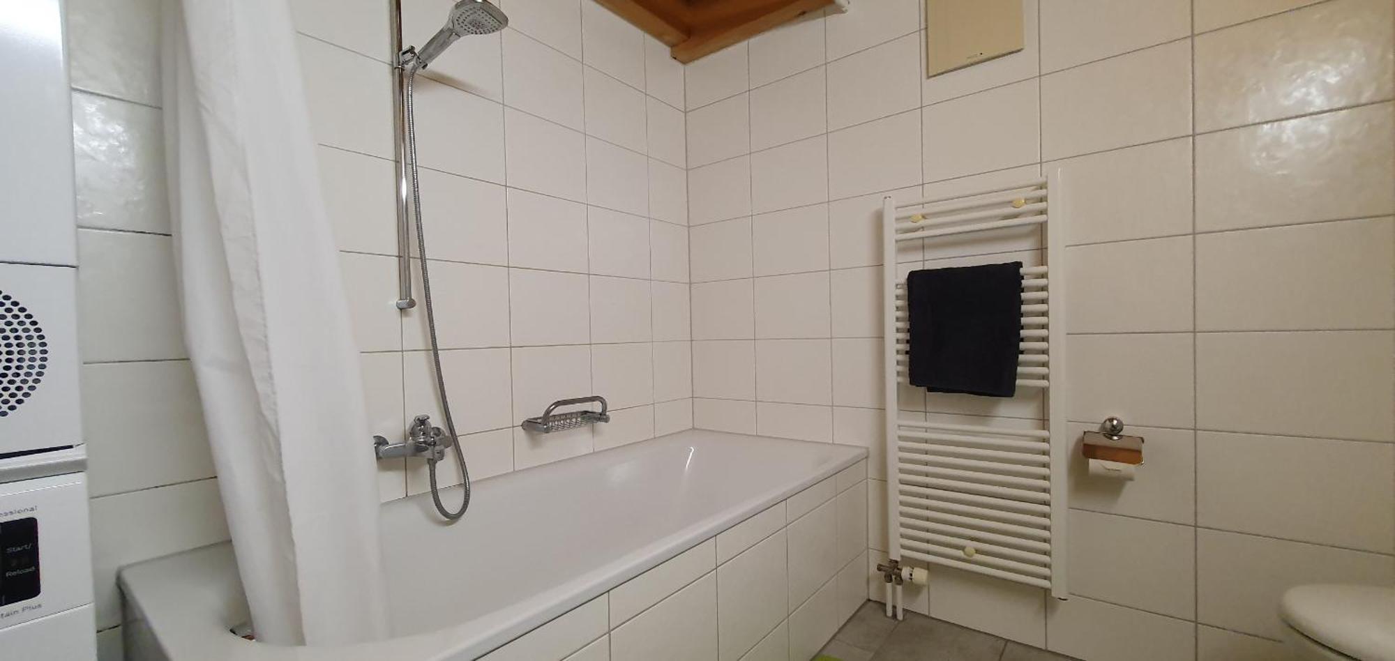 Apartment Honegg Lauterbrunnen Εξωτερικό φωτογραφία